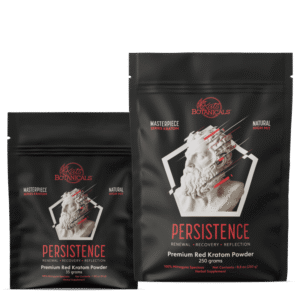 Persistence High MIT Kratom Powder