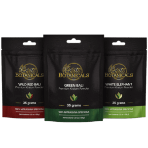 Beginner Bundle